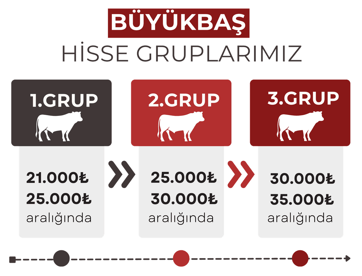 Büyükbaş Hisse Grupları