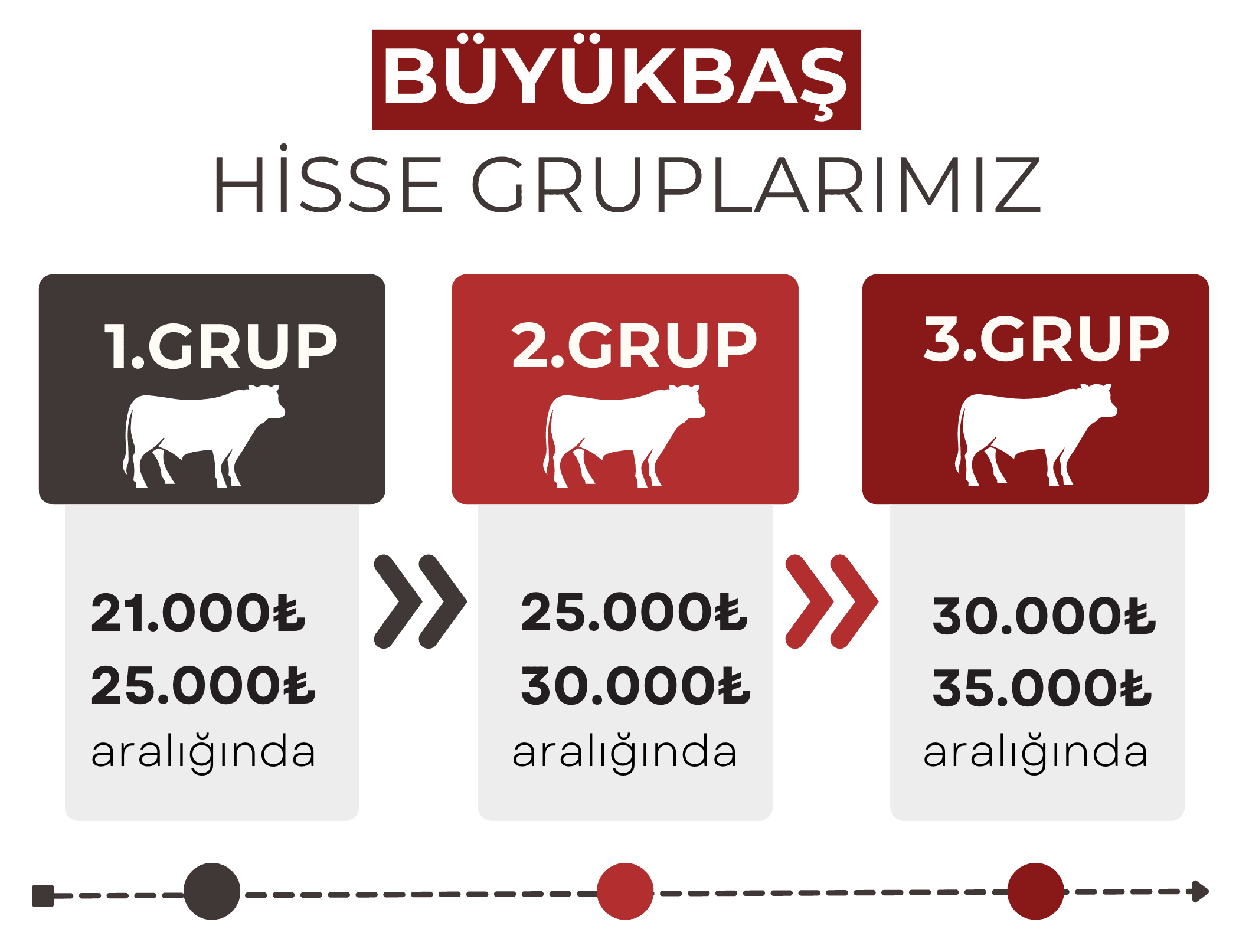 Büyükbaş Hisse Grupları